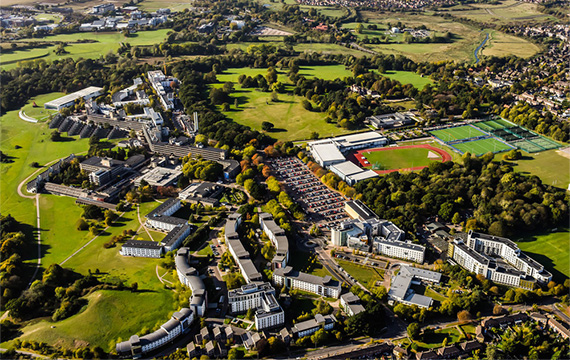 十大正规赌博平台大全排行