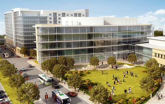 十大正规赌博平台大全排行