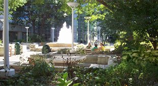 十大正规赌博平台大全