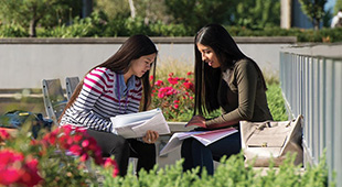 十大正规赌博平台大全