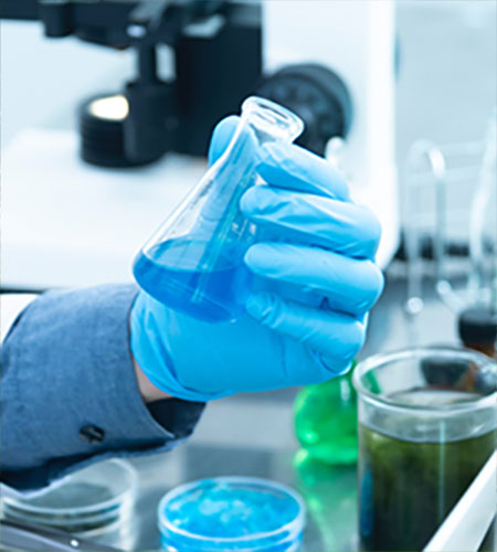 十大正规赌博平台大全