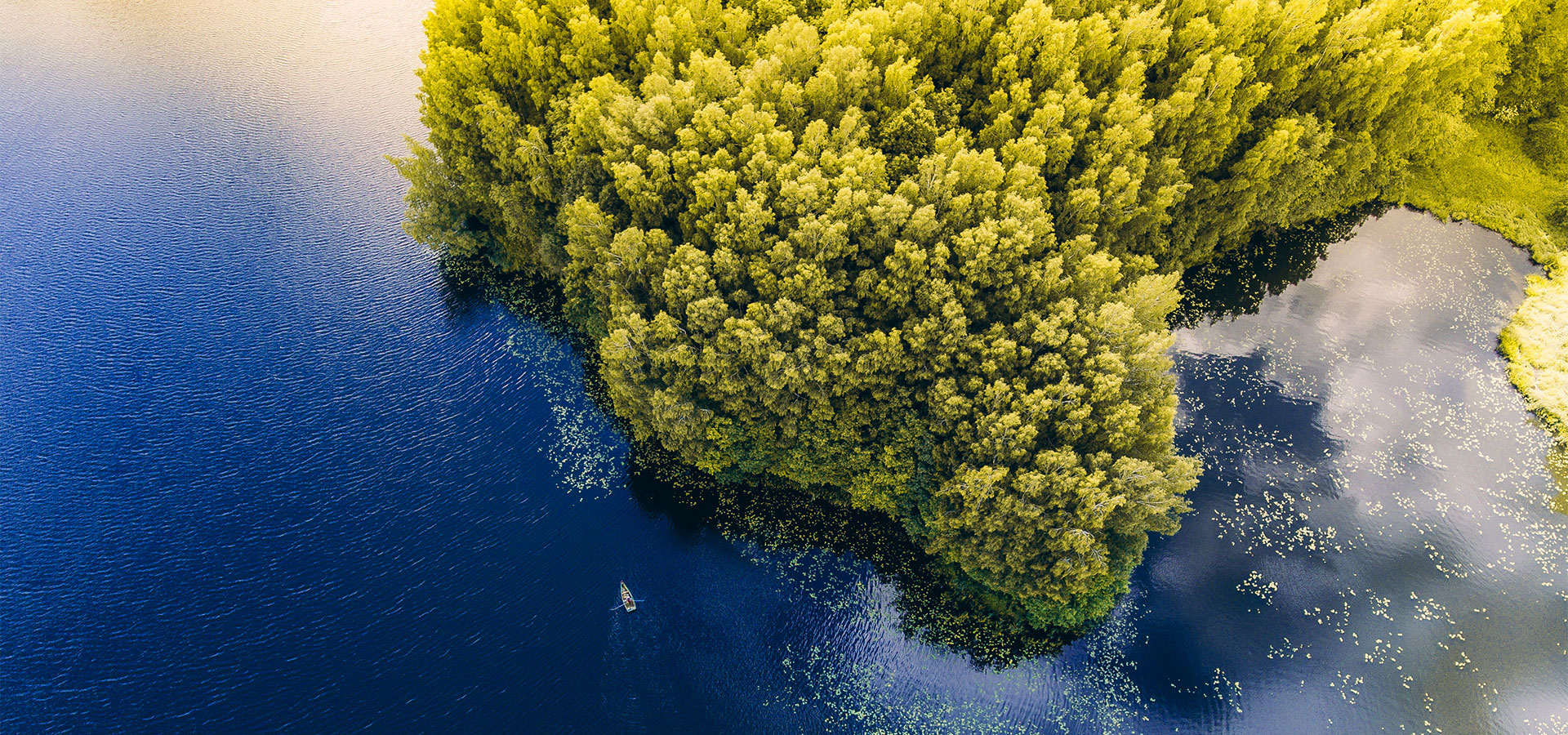 十大正规赌博平台大全